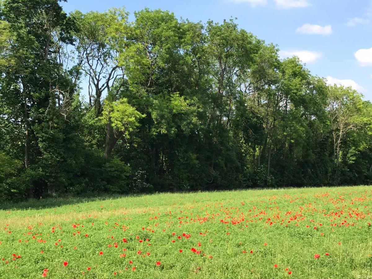 Chambre D'Hotes "Coquelicot" Nurlu Buitenkant foto