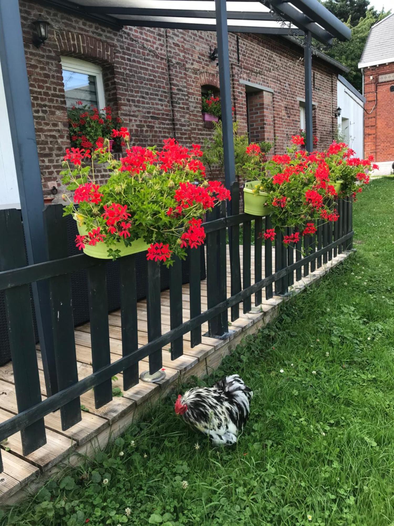 Chambre D'Hotes "Coquelicot" Nurlu Buitenkant foto